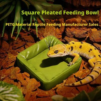 2/4 Pcs Reptile Feeder, Pleated Reptile Water Bowl, Ciliated Cap With Leopard Print, Gecko Fruit Puree Bowl For Landscaping And Decoration, Suitable For Amphibians And Reptiles, Reptile Landscaping, Miniature Landscape Landscaping, Pet Decorations.