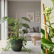 3/5/10个装青蛙造型植物支架，可爱青蛙花盆夹，用于固定攀援植物，多用途青蛙花盆装饰，藤蔓支撑，卡通植物枝条固定器，室内/室外花园装饰 - 青蛙樣式 - 查看 2