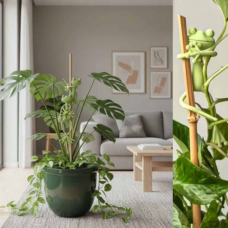 3/5/10个装青蛙造型植物支架，可爱青蛙花盆夹，用于固定攀援植物，多用途青蛙花盆装饰，藤蔓支撑，卡通植物枝条固定器，室内/室外花园装饰