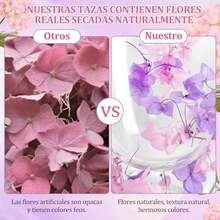 Tazas de Café de Vidrio de Doble Pared,350ML Lindas Tazas de Té de Vidrio con Asas y cuchara, llavero de Amor, Exquisita Caja de Regalo, para Cumpleaños, San Valentín, Día de la Madre (Rosa) - Rosa - Ver 6