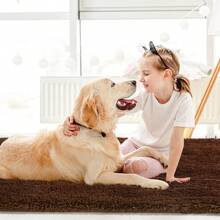 Sour Lemon Rugs Living Room 200x300cm, Coffee Brown Area Rugs For Bedroom, Washable Anti Slip Extra Large Shaggy Soft Rug Fluffy Modern Floor Carpets Mat Beside Carpet, Long Runner Rug For Hallway - Pure Coffee Color - View 11