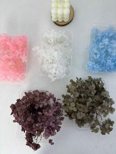 1 caja de Hortensias Eternas Hermosas, Flores de Hortensias Naturales para Manualidades DIY, Pegatinas, Velas, Marcadores de Libros, Decoración del Hogar, Decoraciones Florales de Boda, Regalo