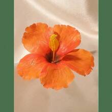 Random Color2pcs Hawaiian Flower Hair Clips Women Plumeria Hibiscus Flower Hair Clips Fashion Artificial Flower Hair Clips, Summer Holiday Beach Party Hair Accessories, Bohemian Style Fabric Hair Clips Set, Elegant Women Hair Clips, Summer Women Hair Accessories, Good For Girls Gifts, Valentine's Day Gift Value Set ,Flat Claw Clip, Hair Slide, Hair Claws, School Stuff - 隨機顏色 - 查看 6