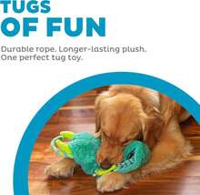 Outward Hound Ropiez Rope Interactive Dog Tug Toy For Tugging Squeaky Fun, 21 Inch Dragon, Blue, Medium - ColorA - 查看 1