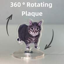 1pc Oiiaio Cat Meme 360° Rotating Stand, Funny Cat Desktop Stress Relief Toy - Multicolor - View 8
