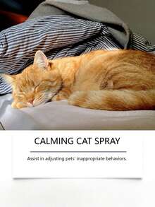 猫咪护理喷雾，舒缓配方，安抚猫咪，防止抓挠和随地小便，温和护理喷雾 - 60ml - 查看 3