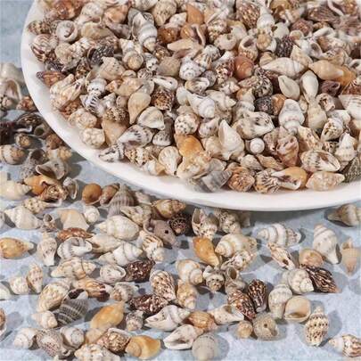 50g/100g/Pack Multicolor Mini Seashell Beads, 7-12mm, Natural Spiral Sea Shell, Suitable For Resin Crafts, Candle Making, Home Decor, Party, Wedding, Aquarium Vase Filler, Jewelry Making