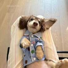 小型犬卡通睡衣，领口和滚边设计，穿着舒适，防寒防掉毛，适合马尔济斯犬、贵宾犬、泰迪犬等小型犬，柔软透气，四季皆宜。 - 淺藍色 - 查看 4
