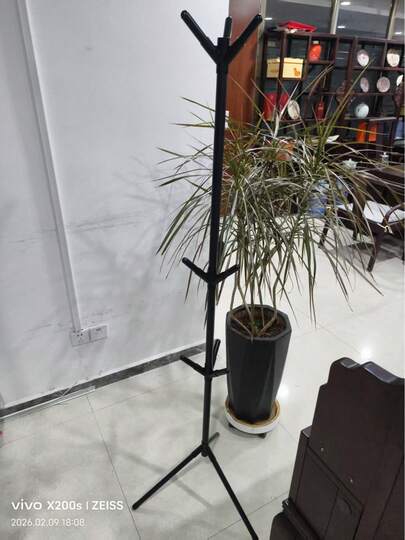 Freestanding Coat Rack, Fishing Rod Rack, Multi-Hook Thickened Steel Pipe Clothing Storage Rack, Tree Branch-Shaped Storage Rack