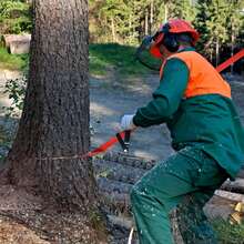 Crowbars - A - ดู 3