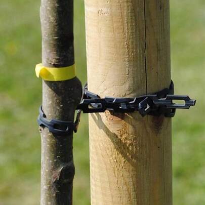 Heavy Duty Tree Support Strapping 2 X 25M Chainlock Strong 11.4 X 3.8MM Tie