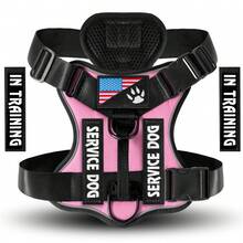 Popular Shock-Absorbing Night Vision Reflective Pet Tactical Harness, Dog Vest-Style Leash, Dog Walking Leash - Dây đeo ngực riêng màu hồng - Xem 13