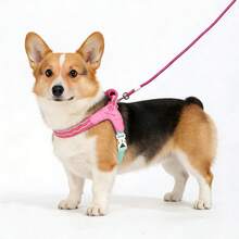 2pcs/Set New Dog Saddle Chest Harness With Soft Handles And Leash, Outdoor Travel Essential Pet Chest Strap - Multicolor - View 11