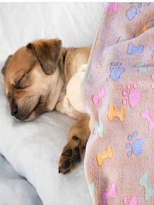 3pcs Pet Blanket, Super Soft & Fluffy High-Quality Cute Paw & Bone Pattern Pet Fleece Blanket, Suitable For All Seasons - Mixed 3 Colors, Size M, 52*76 cm - View 8