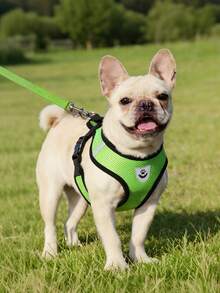 2pcs/Set Breathable Mesh Cat/Dog Harness And Leash Set - Reflective, Adjustable Pet Vest With Leash, Suitable For Small Dogs And Cats, Convenient For Walking And Training, Durable - Multicolor - View 4