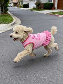 宠物服装，猫狗连衣裙，粉色爱心裙，透气贵宾犬公主裙，春夏款 - 粉色 - 查看 5