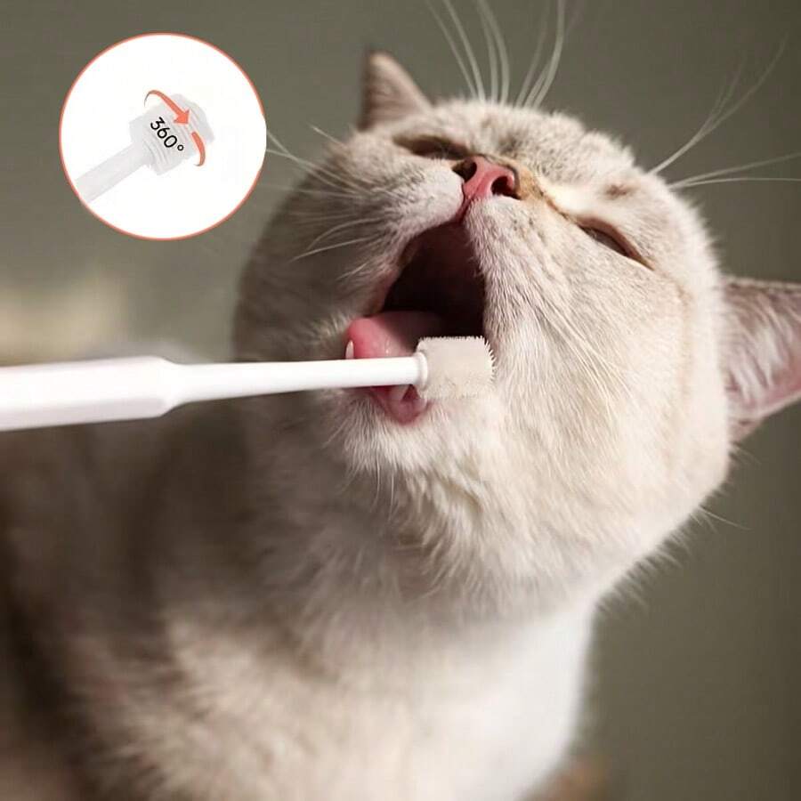 360度宠物牙刷，适用于犬猫 - 符合人体工学的手柄设计，柔软刷毛，无需电池，清洁牙齿，清新口气，有白色、绿色和浅蓝色可选，宠物牙齿护理，现代宠物美容，耐用塑料材质 - 彩色 - 查看 1