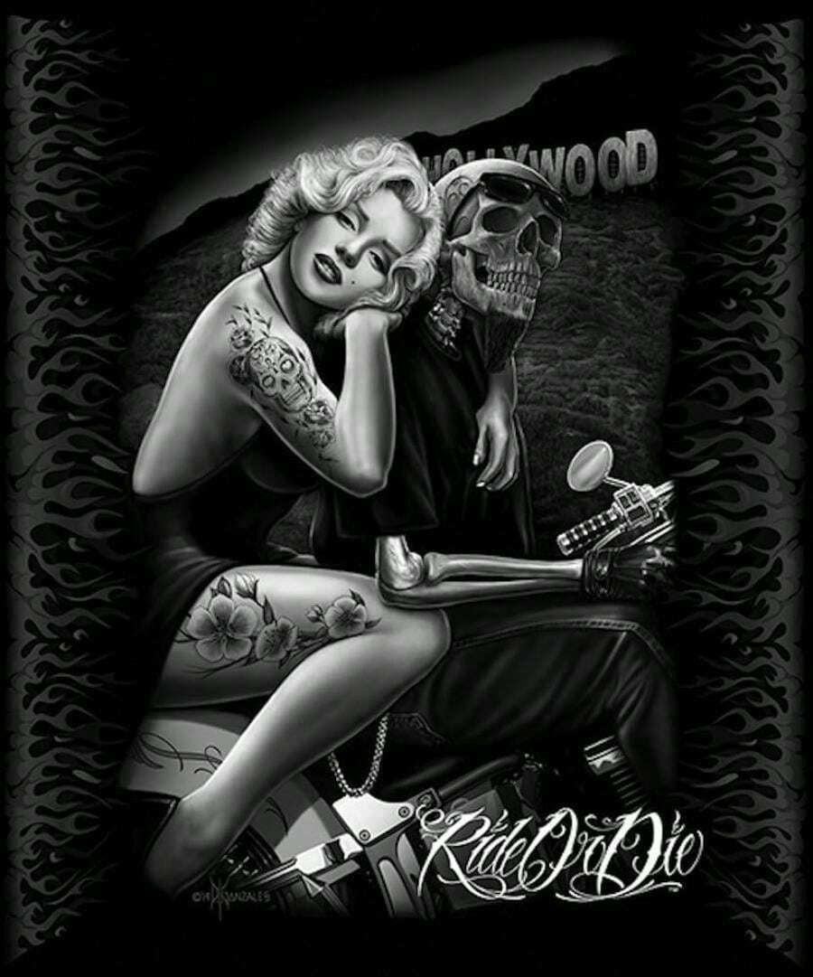 DGA  Signature Collection Super Soft Queen Size Plush Blanket,  Homegirl - hoa oải hương - Xem 1