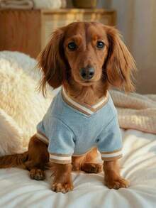 PETCIRCLE 1pc Pet Clothes, Cute Small Dog/Cat Outfit, New York Baseball Jersey - Blue - View 2