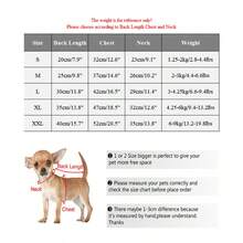 Pet Clothes, Dog Clothes, Korean Style Spring/Summer New Energetic Beaded Four-Leg Outfit - Multicolor - View 3