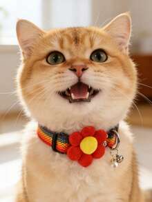 Rainbow Woven Floral Pet Collar, Suitable For Small Dogs Year-Round - Multicolor - View 9