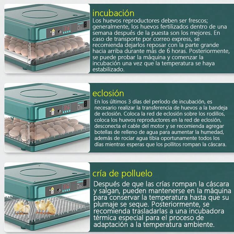Incubadora Y Criadora 2 En 1 Gran Capacidad Hasta 64 Huevos, Gallina Para Codorniz/paloma Ect., 120 Min Volteo Automático Control Temperatura Preciso Sistema Inyección Agua Automático, 12v Emergencia - A - Añade 6