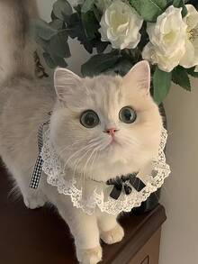 Elegant Lace Cat Collar With Cute Bow And Strawberry Bell, Princess & Lady Style Bell Collar, Suitable For Daily, Party, Birthday And Other Important Occasions, Pet Accessory - Multicolor - View 5