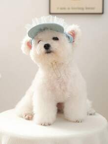 PETCIRCLE 1 pieza Sombrero de sol con lazo de perlas, accesorio lindo y casual de moda para perro, gato y cachorro pequeño, para exteriores - Multicolor - Ver 3