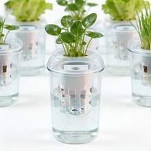 10pcs Hydroponic Seedling Basket Set (Includes 10 Planting Baskets + 10 Seedling Sponges) | Seed Fixation, Anti-Drift, Transparent Visible Root System, Balcony Greenhouse Hydroponics System Accessories - A - View 3