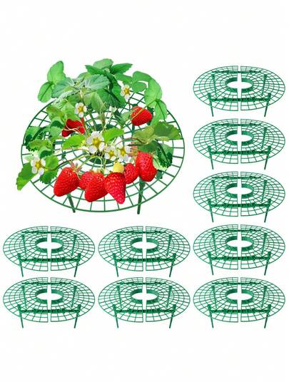 4个草莓架 - 用于抬高水果、阳台种植架、水果支撑架和柱式花园藤架，供攀援植物使用