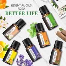 Essential Oil Set (6*0.34oz), 6 Aromatherapy Oil Gift Sets For Home Care, Reed Diffuser Oils, Fragrance, Aromatherapy, Humidifiers Lavender, Lemon, Orange, Peppermint, White Tea, Sandalwood - 6Pcs - 查看 2