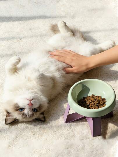 15° Tilted Anti-Spill Pet Food Bowl, High Raised Cat/Dog Feeder With Neck & Spine Support, Non-Slip Wide Base, Durable Plastic Material, Suitable For Cats And Small Dogs, Can Be Used For Wet And Dry Food