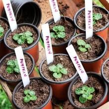 4" Small Plastic Plant Nursery Pot/Pots (100pcs) Seedlings Flower Plant Container Seed Starting Pots - A - View 6