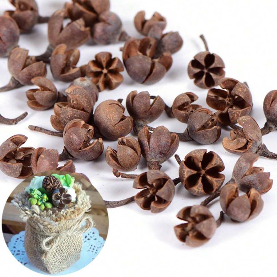 1个200/340克人造装饰十字水果工艺品,适用于制作肥皂、蜡烛、永生花DIY、节日婚礼派对装饰、香囊、浴室装饰、衣柜、厨房、空气清新剂,干红玫瑰花瓣可用于足浴、身体SPA、DIY工艺品 - 仿真十字果裝飾 - 查看 1