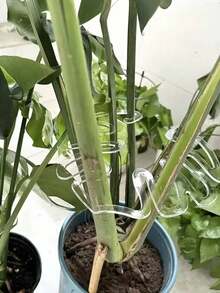 A Lifesaver For Flower Arranging Beginners! With Flower Stem Holders, You No Longer Need To Constantly Adjust The Flower Stems. The Arrangement Stays Neat, Three-Dimensional, And Looks Great For Gifting Or Decorating Your Home. - A - View 7