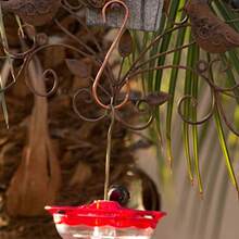 Best Copper S Hooks for Hummingbirds Feeder - #1 Rated Model - Beautiful and Long Lasting - 100% Satisfaction Guaranteed! - CobreOroBronce - Ver 2