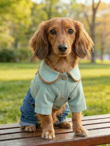 1pc Pet Clothes, Cute 4-Leg Outfit, Durable & Washable Apparel For Small/Medium Dogs, Bow Tie Collar & Suspender Pants - Blue - View 2