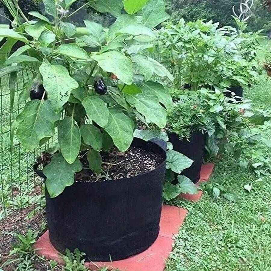 4个大容量种植袋，适合种植土豆、辣椒、花卉和西红柿，园艺风格设计，采用耐用的无纺布制成，容量为18.93升，双提手，适合室内和室外种植，带有排水孔，厚度为350克。