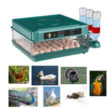 Poultry And Livestock Cages & Accessories - A - 查看 9
