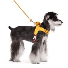 2pcs/Set New Dog Saddle Chest Harness With Soft Handles And Leash, Outdoor Travel Essential Pet Chest Strap - Multicolor - View 7