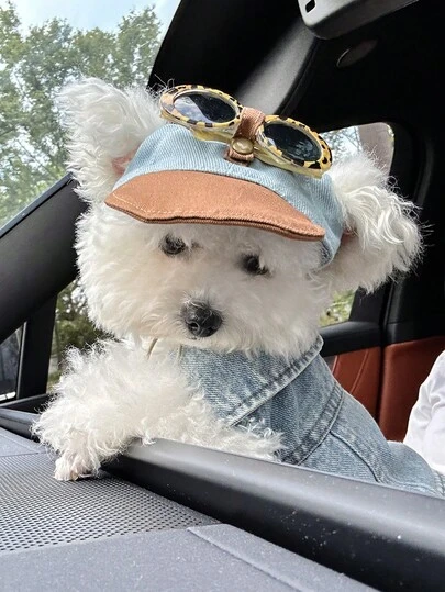 PETCIRCLE 1pc Pet Dog Cat Cute Small Dog Puppy Outdoor Stylish Casual Fashion Romantic Accessory - Leopard Print Fashion Glasses & Baseball Cap