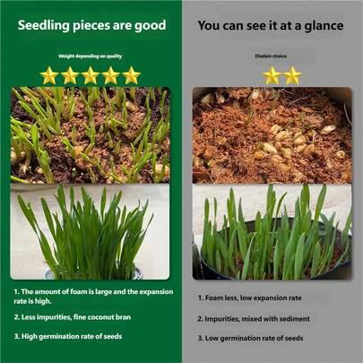 1/2/4 piezas de fibra de coco orgánica comprimida para macetas, suelo mezclado de fibra de coco de baja salinidad y alta expansión, diseñado para la siembra de semillas y el cultivo de flores. Adecuado para jardinería, germinación de semillas y crecimiento de plantas, se puede usar en interiores y exteriores. Apariencia natural, suelo rico en nutrientes, bloques de fibra de coco.