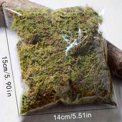 1 Pack Dried Moss, DIY Artificial Moss Micro Landscape Layout, Green Moss, Water Moss, Orchid Moss, Green Plants Lawn For Potted Plants, Window Sill Decor, Landscape Design, Suitable For Planting And Covering