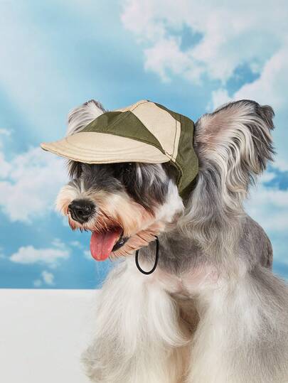 New Spring/Summer Pet Retro Color Block Adjustable Baseball Cap