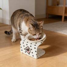 1pc Pet Cat Acrylic Raised Bowl, Stable Base, High-Temperature Fired Ceramic, Easy To Clean, Pet Cat Dog Feeding & Drinking Supplies - 200ml - View 6