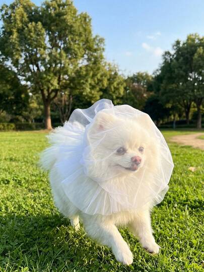 狗狗口套，舒适透气防啃咬面罩，宠物嘴套，防止狗狗和猫咪啃咬、舔舐和进食