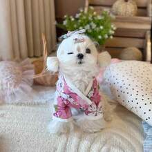 Spring/Summer Limited Edition Japanese-Style Pet Kimono, Handmade Fabric Cute Pet Costume For Photo Shoot And Dressing Up - Pink - View 4