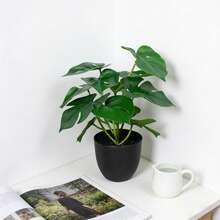1pc Artificial Turtle Back Bamboo Plant Potted - Minimalist Home Decor | Approx. 11.8 Inches Tall Including Black Planter | Perfectly Fits Living Room Shelves, Study Display Cabinets, Office Desks, Entryway Cabinets And Other Scenes To Infuse A Fresh, Healing Natural Ambiance - Green - View 4