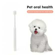 360度宠物牙刷，适用于犬猫 - 符合人体工学的手柄设计，柔软刷毛，无需电池，清洁牙齿，清新口气，有白色、绿色和浅蓝色可选，宠物牙齿护理，现代宠物美容，耐用塑料材质 - 彩色 - 查看 3