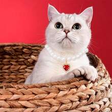 2pcs Pet Necklace, Made Of Faux Pearl, Fashionable And Durable With No Fading, Adjustable Size Suitable For Cats And Dogs, Comfortable For Daily Wear, Convenient For Walking Dogs - Multicolor - View 5